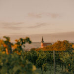 ÖTW_Ebner-Ebenauer_Julius_Hirtzberger_B0067695